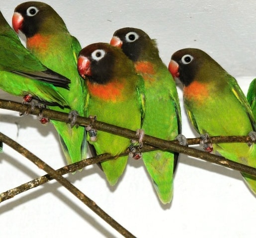 Foto 2